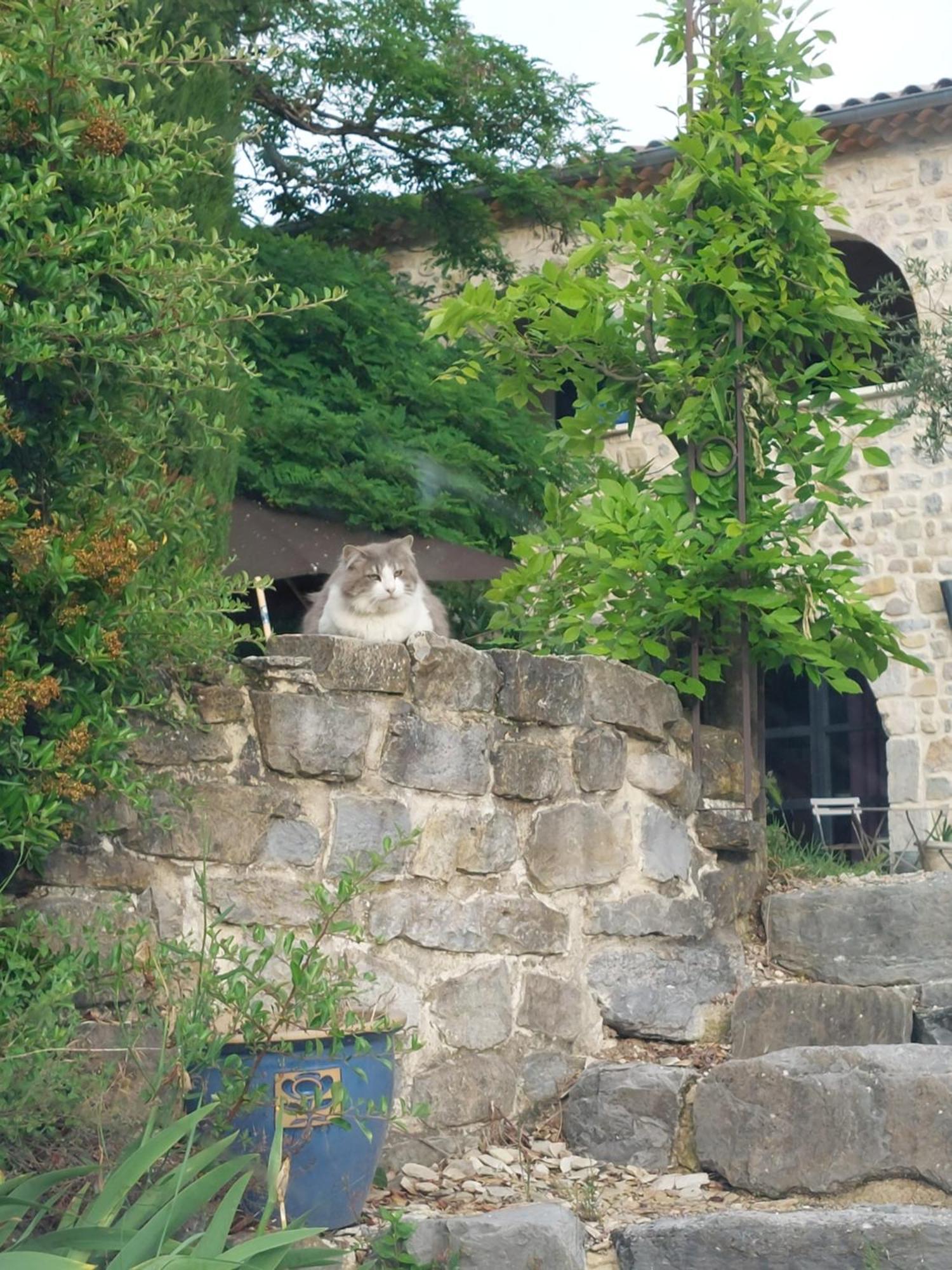 La Flor Azul Bed and Breakfast Grospierres Εξωτερικό φωτογραφία